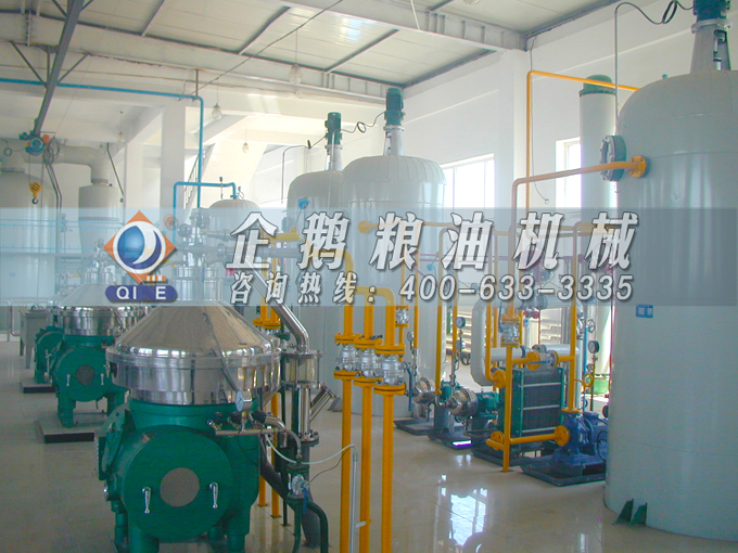 如何投資建設棕櫚油加工廠？企鵝糧油機械在線為您答疑解惑(圖2)