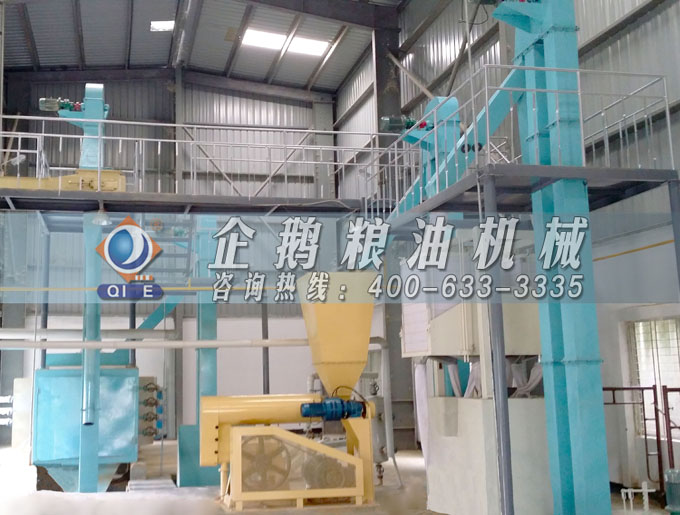 如何投資建設棕櫚油加工廠？企鵝糧油機械在線為您答疑解惑(圖4)