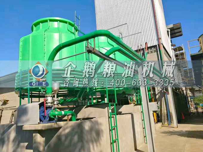 如何投資建設棕櫚油加工廠？企鵝糧油機械在線為您答疑解惑(圖3)